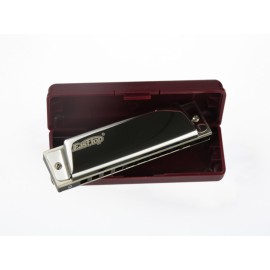 EAST TOP T10 Paslanmaz Çelik Gövde / 10 Delikli / Gümüş-Altın Renk Harmonica
