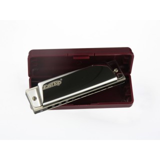 EAST TOP T10 Paslanmaz Çelik Gövde / 10 Delikli / Gümüş-Altın Renk Harmonica