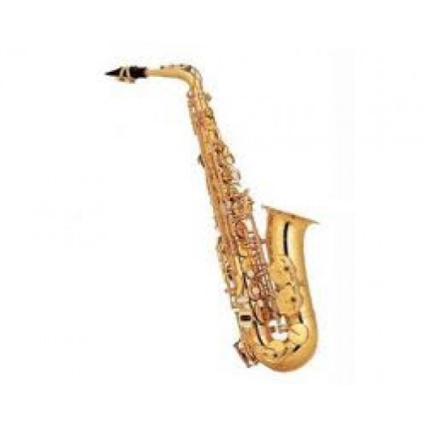 Jinbao JBAS-200AG Alto Saksafon (Antik Gold)