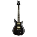 PRS SE Custom 22 Semi-Hollow Elektro Gitar (Gray Black)