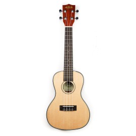 Kala SCG Concert Ukulele
