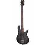 Schecter Raiden Special-4 Bas Gitar (See-Thru Black)