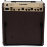 Fishman PRO-LBX-EX7 Loudbox Performer Akustik Gitar Amfi