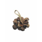 Toca T-SS SEED SHELL SHAKER