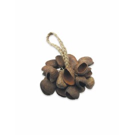 Toca T-SS SEED SHELL SHAKER Toca T-SS SEED SHELL SHAKER