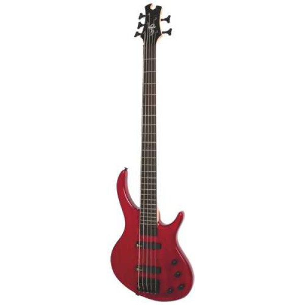 Epiphone Toby Deluxe V Bas Gitar (Trans Red)