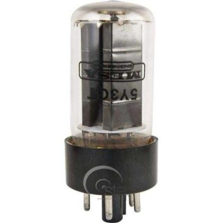 Mesa Boogie 5Y3 Rectifier Tube Amfi Lambası Mesa Boogie 5Y3 Rectifier Tube Amfi Lambası