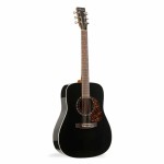 Norman Encore B20 HG Presys Akustik Gitar (Black) Norman Encore B20 HG Presys Akustik Gitar (Black)