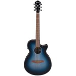 IBANEZ AEG50-IBH Elektro Akustik Gitar IBANEZ AEG50-IBH Elektro Akustik Gitar