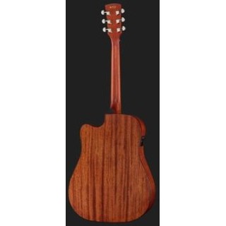 IBANEZ PF10CE-OPN Elektro Akustik Gitar