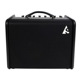 Godin Acoustic Solutions ASG-8 120W Akustik Gitar Amfisi (Siyah)