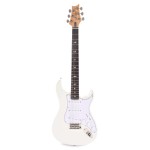 PRS Silver Sky John Mayer Elektro Gitar (Frost)