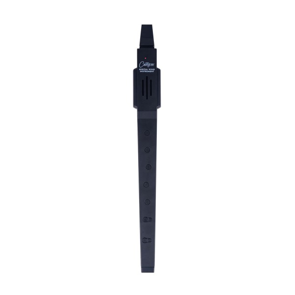 Blackstar Carry-On Dijital Flüt (Siyah)