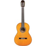 Cordoba C9 Parlor 7/8 Sedir Klasik Gitar (Natural)