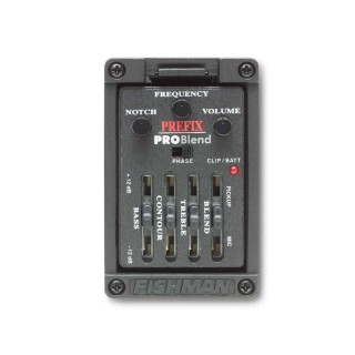 ELEKTRO KLASİK GİTAR LADİN KAPAK FISHMAN PREFIX PR