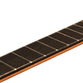 ELEKTRO KLASİK GİTAR LADİN KAPAK FISHMAN PREFIX PR