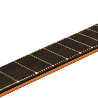 ELEKTRO KLASİK GİTAR LADİN KAPAK FISHMAN PREFIX PR