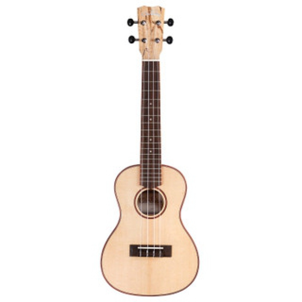 Cordoba 24C Spruce Concert Ukulele (Natural) Cordoba 24C Spruce Concert Ukulele (Natural)