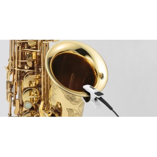 CM200 (Contact Microphone)