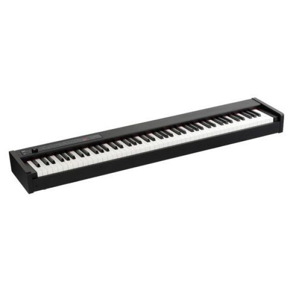 KORG D1