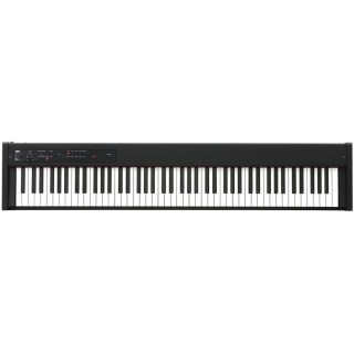 KORG D1