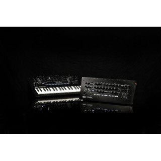 Minilogue XD Module Minilogue XD Module