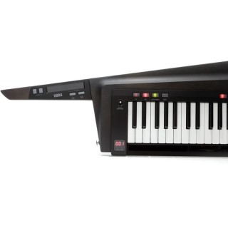 RK-100S 2-BK RK-100S 2-BK