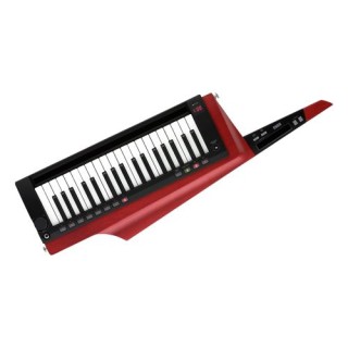 RK-100S 2-RD RK-100S 2-RD
