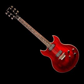 33 SERISI (DOUBLE CUTAWAY) 33 SERISI (DOUBLE CUTAWAY)