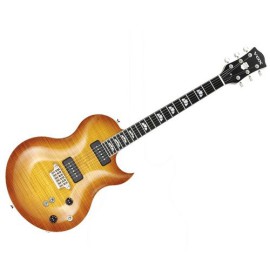 33 SERISI (SINGLE CUTAWAY) 33 SERISI (SINGLE CUTAWAY)