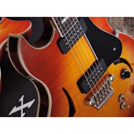 77 SERISI (DOUBLE CUTAWAY)