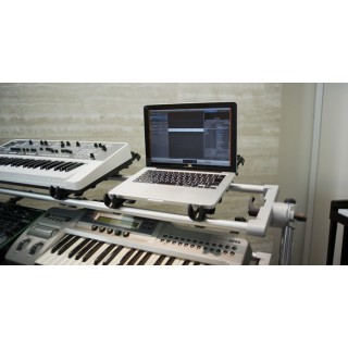 Standard-M-SV
