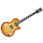 33 SERISI (SINGLE CUTAWAY)