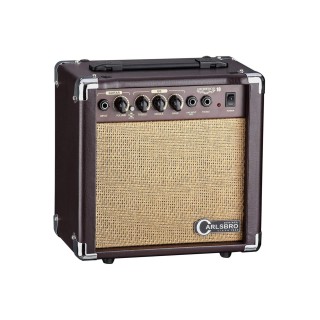 Sherwood10 10 Watt Akustik Amfi