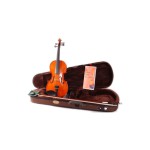 1018/a Standart Keman (4/4)