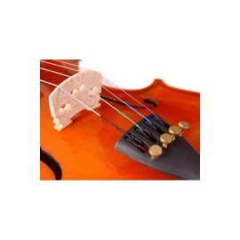 1018/a Standart Keman (4/4)