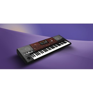 Korg Pa700 Oriental Korg Pa700 Oriental