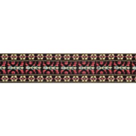 Planet Waves 50G00 Gitar Askısı Dokuma 50MM Hootenny Style 1 Planet Waves 50G00 Gitar Askısı Dokuma 50MM Hootenny Style 1