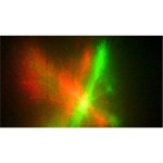 Eclips Nebula Lazer Işık