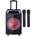 Oyility Dk-12 300 Watt Taşınabilir Mikrofonlu Hoparlör