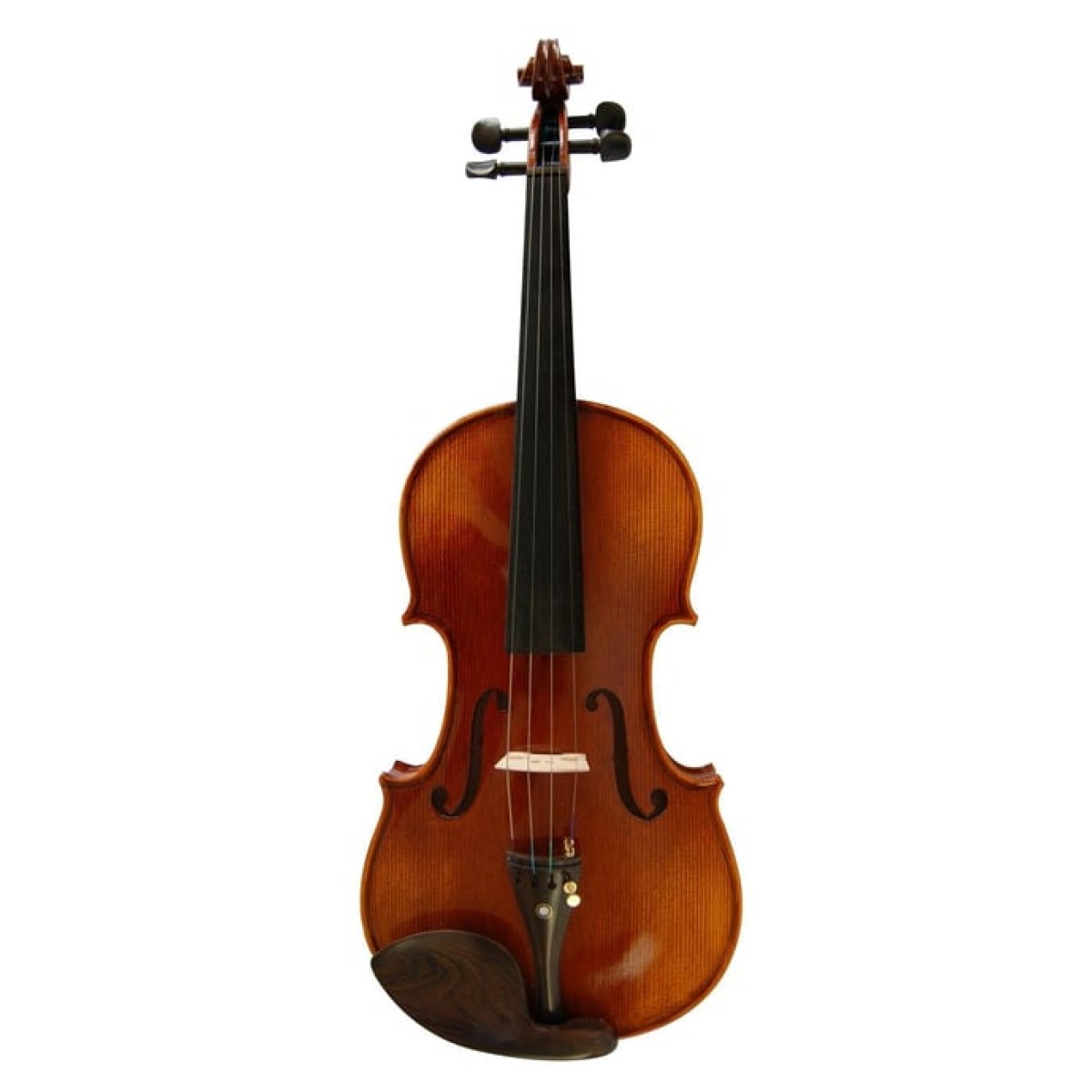 KINGLOS KNG PHB-1004C KEMAN 4/4 , KARBON CASE