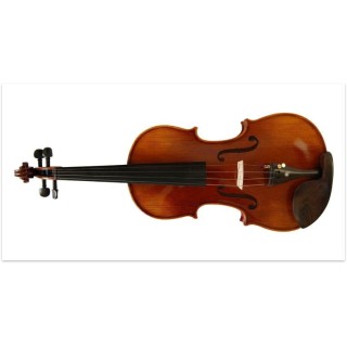 KINGLOS KNG PHB-1004C KEMAN 4/4 , KARBON CASE