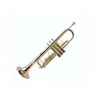 Ashton TR10 Sib Trompet