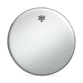 Remo Ambassador X Coated 10 İnç Deri