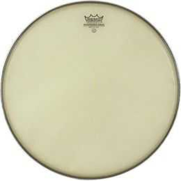 Remo SA-0013-SS- SNARE Ambassador Renai