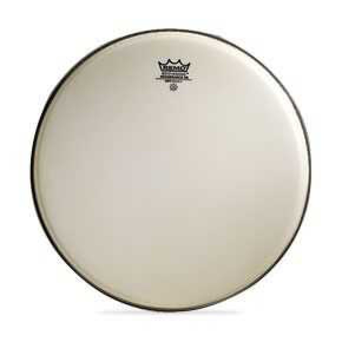 Remo RD-0012-SS Batter Diplomat Renais
