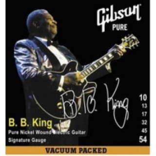 Gibson B. B. King Signature Elektro Gitar Teli (10-54)