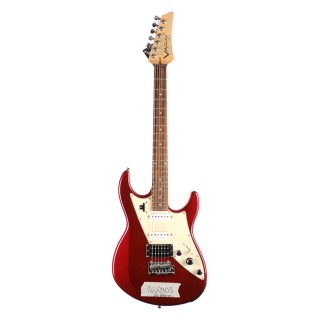 [Outlet] Line 6 Variax - James Tyler Elektro Gitar (ol 24-24107)