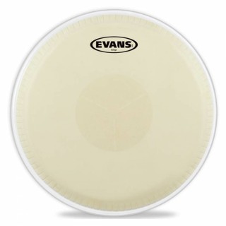 Evans EC1100E Conga Derisi