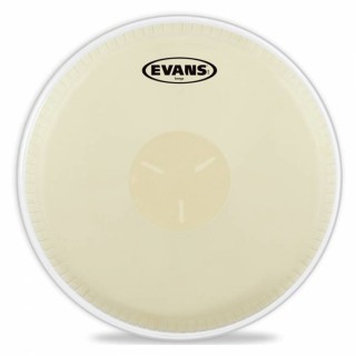 Evans EB0709 Bongo Derisi